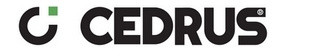 cedrus.jpg